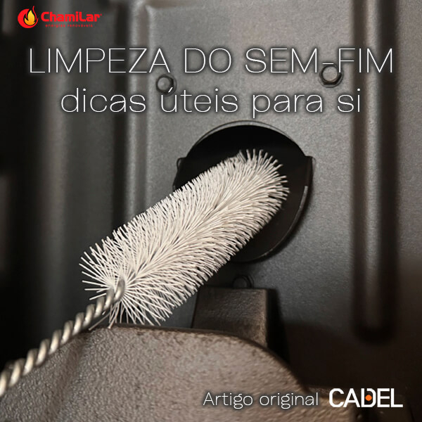 LIMPEZA DO SEM-FIM